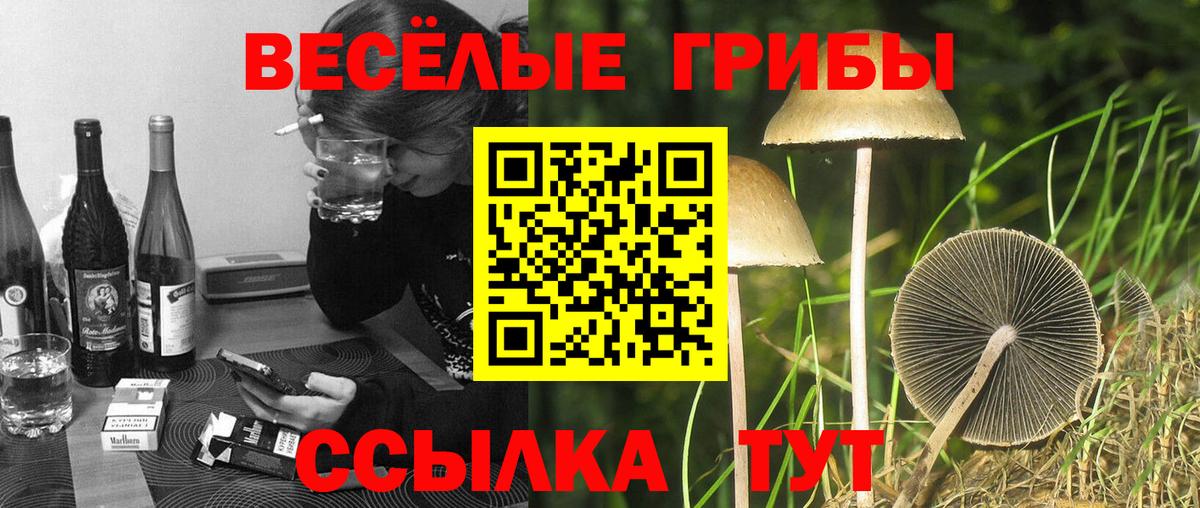 Псилоцибиновые грибы GOLDEN TEACHER Заринск